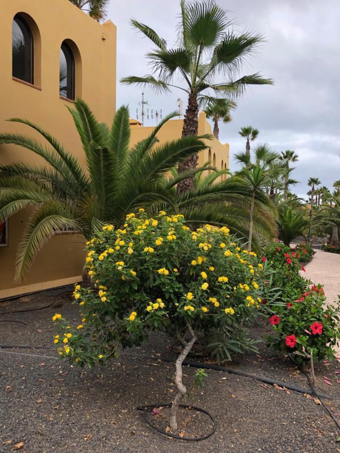 Casa Molly Apartment Corralejo Bagian luar foto